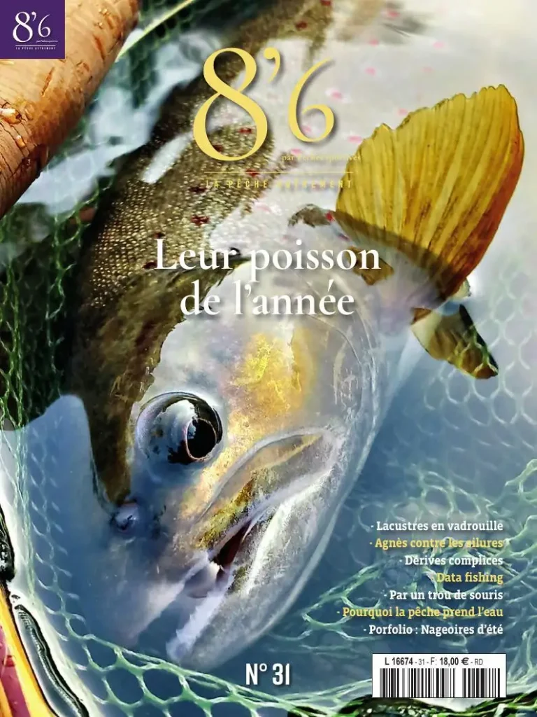 8’6 by pêches sportives