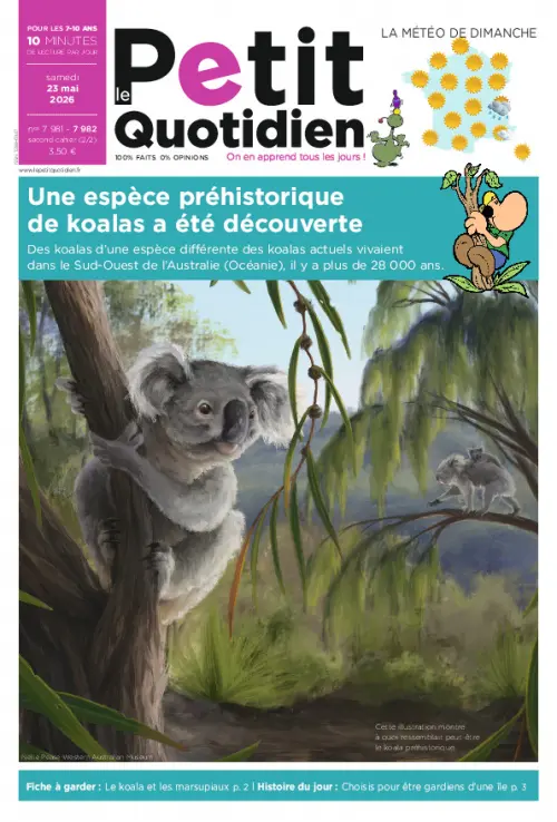 Le Petit Quotidien