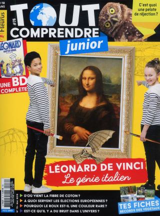 TOUT COMPRENDRE JUNIOR ( pour une livraison en librairie ou à l'école )