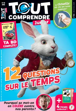 Tout Comprendre Junior