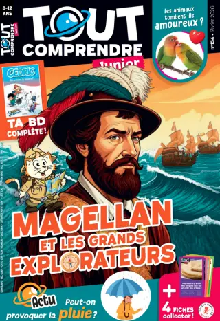 Tout Comprendre Junior