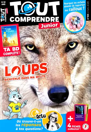 Tout Comprendre Junior