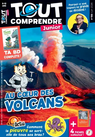 Tout Comprendre Junior