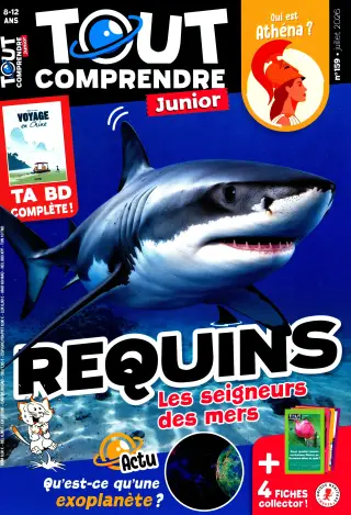 Tout Comprendre Junior