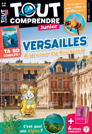 Tout Comprendre Junior