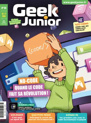 Geek Junior