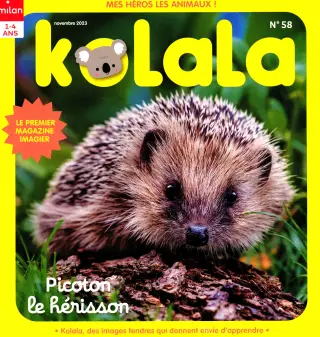 kolala maxi jeux