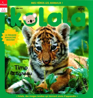 kolala maxi jeux