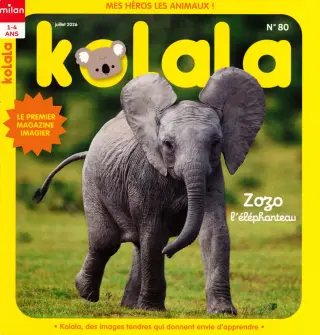 kolala maxi jeux