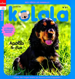 kolala maxi jeux