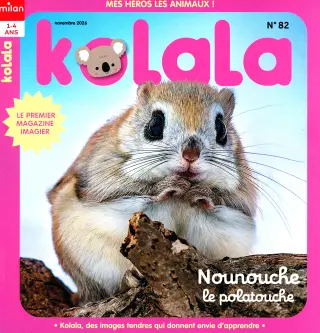 kolala maxi jeux