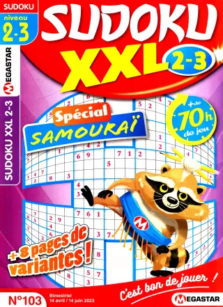 Sudoku XXL Niveau 2-3