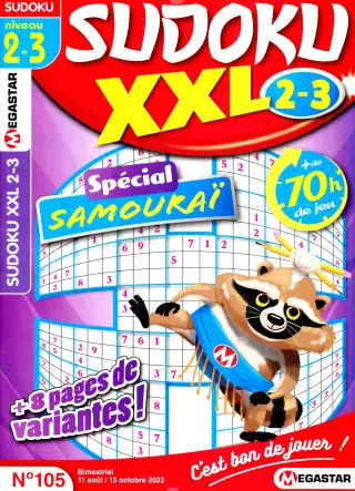 Sudoku XXL Niveau 2-3