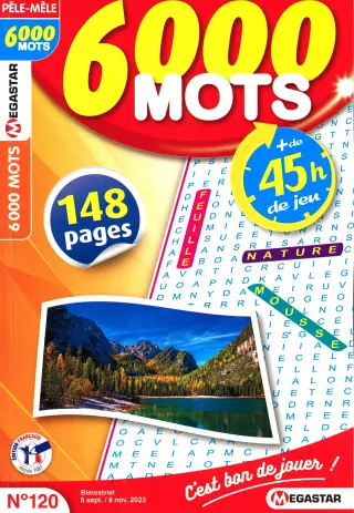 6 000 Mots