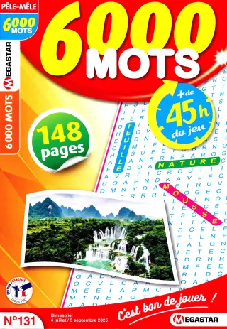 6 000 Mots