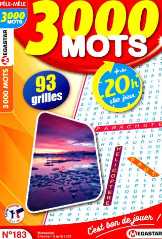 3 000 Mots