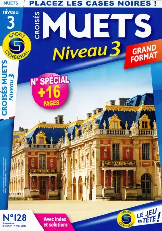 Croisés Muets Niveau 3 Grand Format