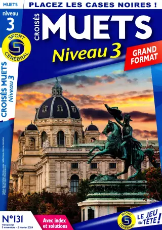 Croisés Muets Niveau 3 Grand Format