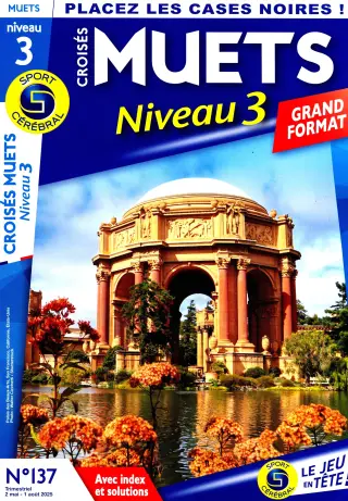 Croisés Muets Niveau 3 Grand Format