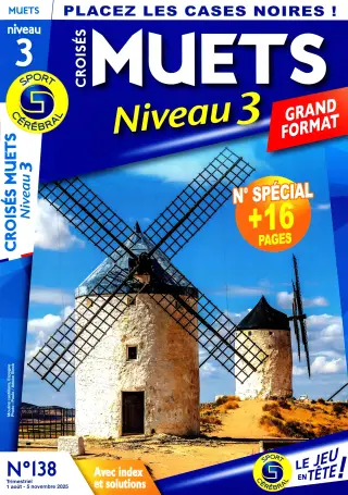 Croisés Muets Niveau 3 Grand Format
