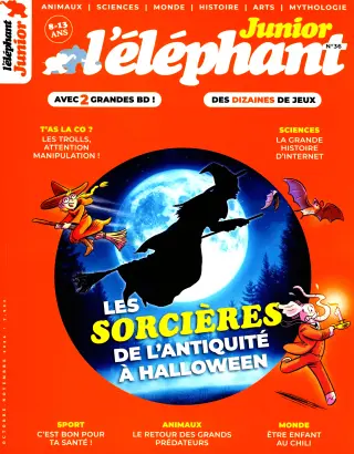 L'éléphant Junior