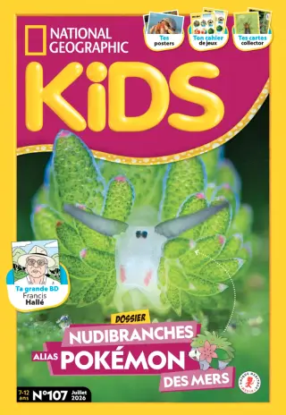 National Geographic Kids