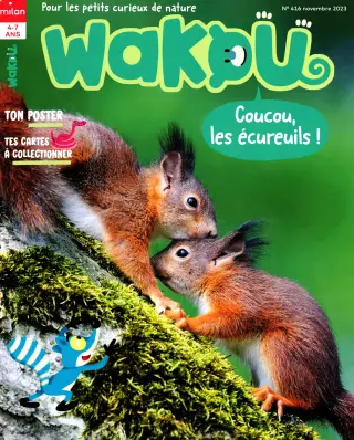 Wakou