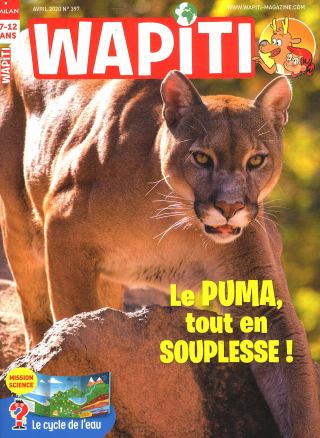 Abonnement Wapiti