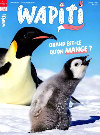 Abonnement Wapiti