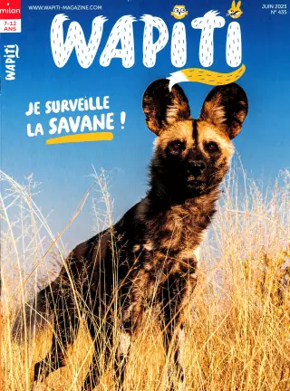 Abonnement Wapiti