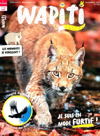 Abonnement Wapiti