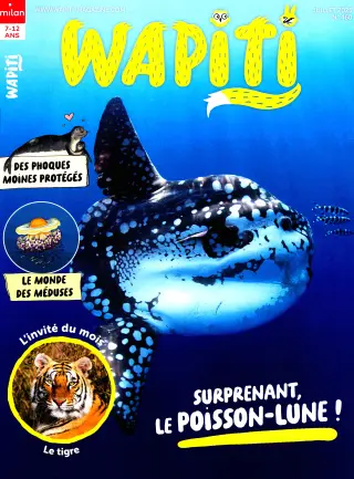 Abonnement Wapiti