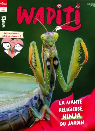Abonnement Wapiti