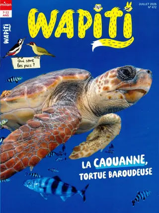 Abonnement Wapiti