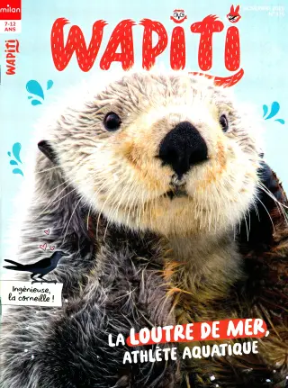 Abonnement Wapiti