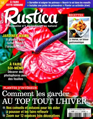 Abonnement Rustica