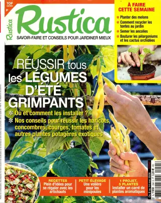 Rustica