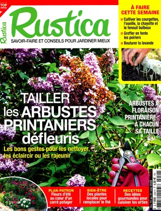 Rustica