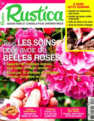Rustica
