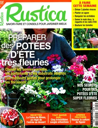 Rustica