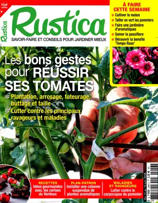 Rustica