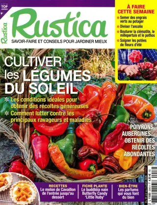 Rustica