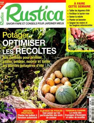 Rustica
