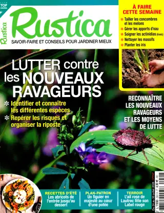 Rustica