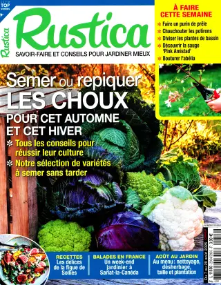 Rustica