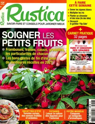 Rustica