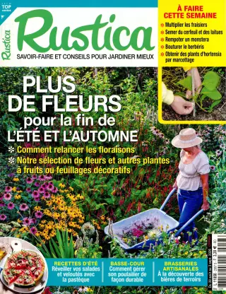 Rustica