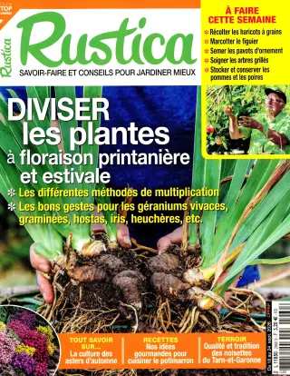 Rustica