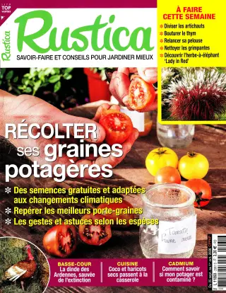 Rustica