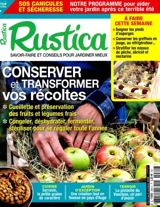 Rustica